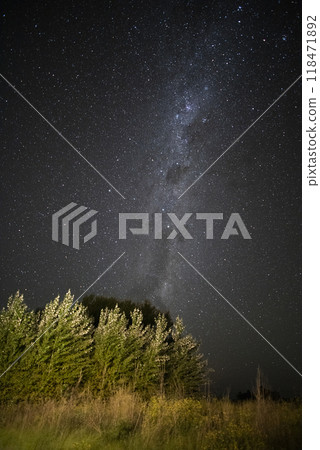 Pampas landscape photographed at night with a starry sky, La Pampa province, Patagonia , Argentina. 118471892