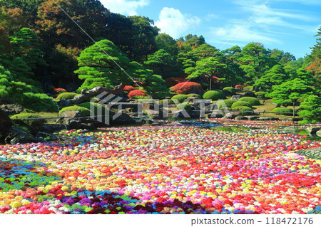 [島根] 好天氣裡有志園的池泉天地牡丹（10萬株大麗花） 118472176