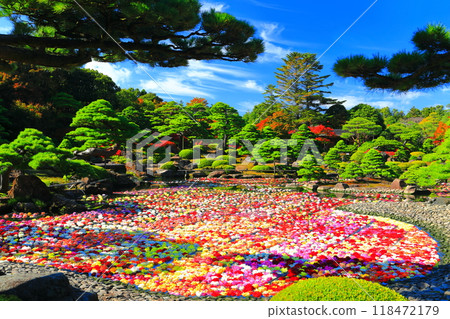 [Shimane] Ikeizumi tenjiku peony (100,000 dahlias) in Yushien in fine weather 118472179