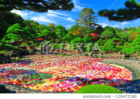 [島根] 好天氣裡有志園的池泉天地牡丹（10萬株大麗花） 118472180