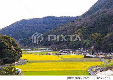 Yellow rapeseed flower fields and mountain ranges seen below Yellow rapeseed flower fields and mountain ranges seen below 118472345