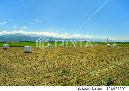 Rice field with rice straw rolls rolling around [Azumino City] 118473801