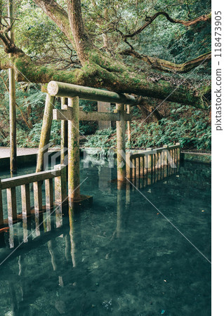 鹿島神社御手洗池禦手洗池（茨城縣鹿島市） 118473905
