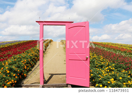 秋天花田裡的粉紅色門 118473931