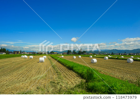 稻草捲起的稻田【安曇野市】 稻草捲起的稻田【安曇野市】 118473979