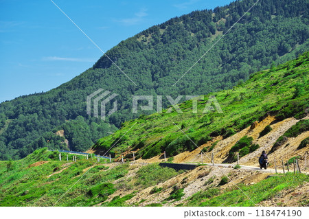 夏天，川崎忍者在 Kenashi Pass 的森林道路上奔跑 118474190