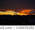 Black silhouette of a plant branch at the background of a picturesque sunset on the outskirts of Vienna. Wallpaper sky background 118474292