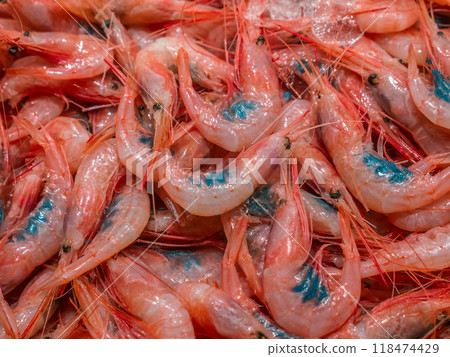 Local food market with fresh shrips, Murci, Spain 118474429