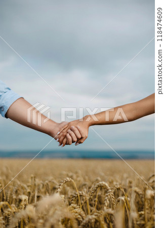 A couple walks hand-in-hand through a golden wheat field, capturing a peaceful and romantic moment 118474609