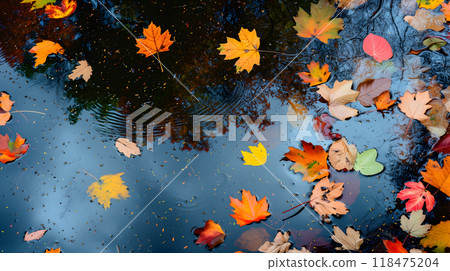 An abstract composition of colorful autumn leaves floating on a reflective water surface of a pond 118475204