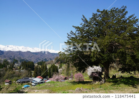 春天的小川村 春天的小川村 118475441