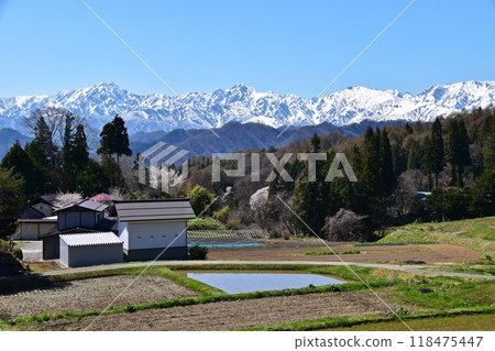 春天的小川村和白雪覆蓋的北阿爾卑斯山 春天的小川村和白雪覆蓋的北阿爾卑斯山 118475447