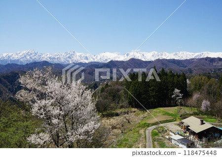 春天的小川村和積雪覆蓋的北阿爾卑斯山 從小川村阿爾卑斯山展望廣場眺望。 春天的小川村和積雪覆蓋的北阿爾卑斯山 從小川村阿爾卑斯山展望廣場眺望。 118475448