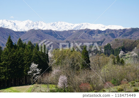 春天的小川村和白雪覆蓋的北阿爾卑斯山 春天的小川村和白雪覆蓋的北阿爾卑斯山 118475449