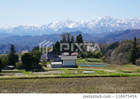 Spring in Ogawa Village and the remaining snow on the Northern Alps 118475454