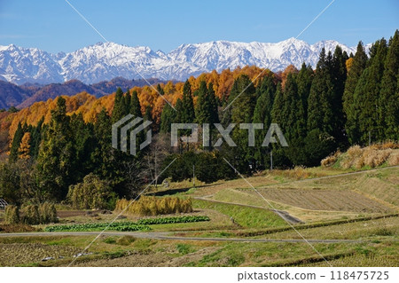 The rural scenery of Ogawa Village at the peak of autumn foliage and the Northern Alps 118475725