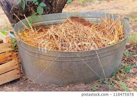 Straw for mulching in garden. Hay in a metal basin. Pile of golden yellow hay. Village style. Sunny day. 118475878