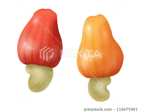 2 cashew apples (cashew fruit) 118475901