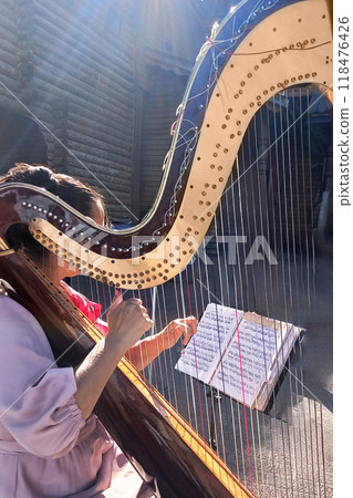 An unrecognizable woman in park plays harp from sheet music. Music Day An unrecognizable woman in park plays harp from sheet music. Music Day 118476426