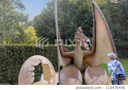 Boy examines pterodactyl at street exhibit Boy examines pterodactyl at street exhibit 118476498