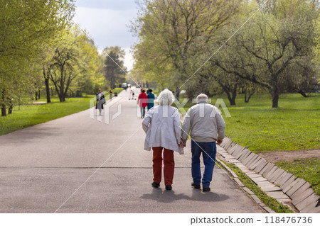 Senior couple, holding hands, strolling through spring park. Happy old age 118476736