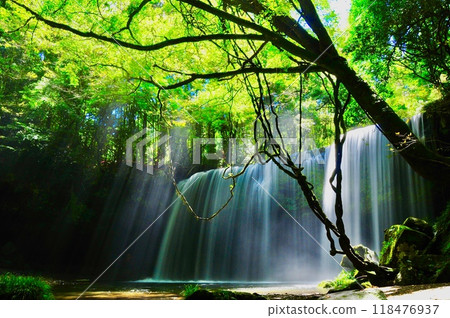 Nabegataki Falls bathed in sunlight 118476937
