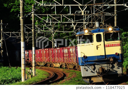 Early morning EF64 freight train Early morning EF64 freight train 118477025