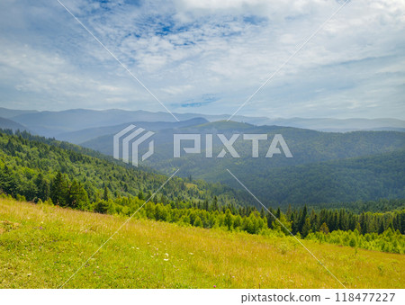 carpathian mountain valley after the rain. carpathian mountain valley after the rain. 118477227