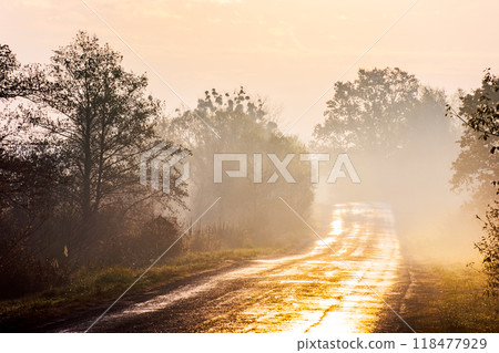 old asphalt road through the fog. forest in fall foliage in morning light. beautiful countryside landscape in autumn old asphalt road through the fog. forest in fall foliage in morning light. beautiful countryside landscape in autumn 118477929