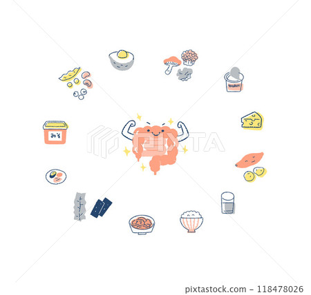 健康的結腸和對腸道有益的食物的圖片 118478026