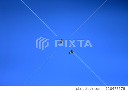 Blue sky and two butterflies Blue sky and two butterflies 118478376