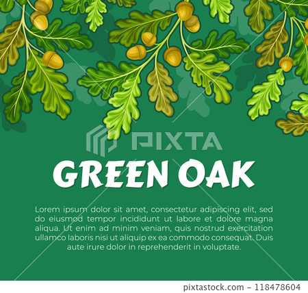 Green Oak Nature Banner Design with Tree Branch and Acorn Vector Template Green Oak Nature Banner Design with Tree Branch and Acorn Vector Template 118478604