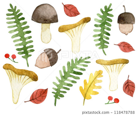 watercolor set with forest plants and mushrooms. cute autumn set, cartoon watercolor set with forest plants and mushrooms. cute autumn set, cartoon 118478788