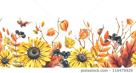 Autumn berries physalis, chokeberry, rowan leaves, maple, birch, rudbeckia flowers tree branches and ladybugs. Watercolor illustrations. Horizontal seamless border isolated from background 118478926