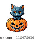 Bright juicy orange pumpkin with Halloween face with gray kitten isolated on white background 118478939