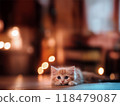 Recommended background frames for blog thumbnails (cats) 118479087