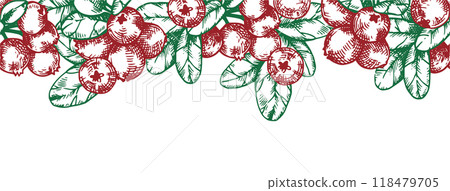 seamless border with cranberries. vector frame in sketch style 118479705