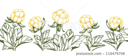 seamless border with cloudberries. vector illustration in sketch style 118479706