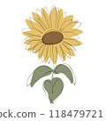 Sunflower 118479721