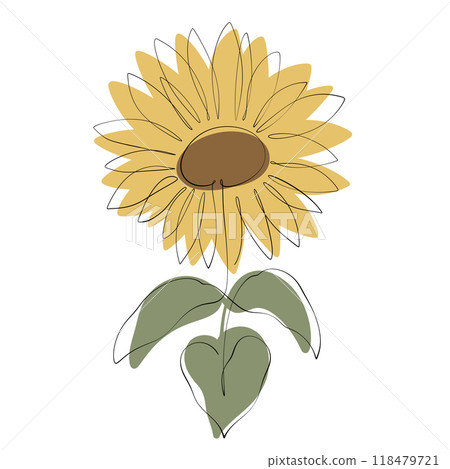Sunflower Sunflower 118479721