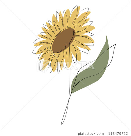 Sunflower Sunflower 118479722