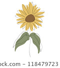 Sunflower 118479723