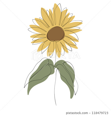 Sunflower 118479723