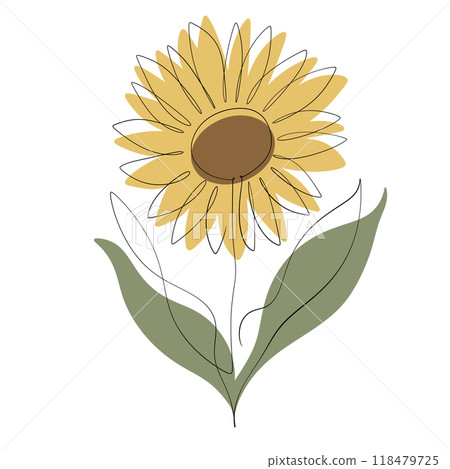 Sunflower 118479725