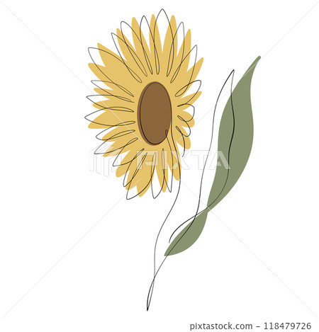 Sunflower Sunflower 118479726