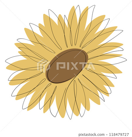 Sunflower Sunflower 118479727