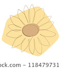 Sunflower 118479731