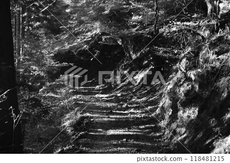 山路 山路 118481215