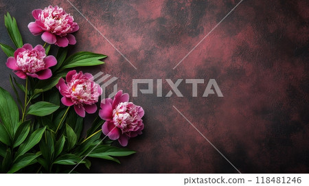 Beautiful peonies arranged on a textured background in rich shades of burgundy and green 118481246