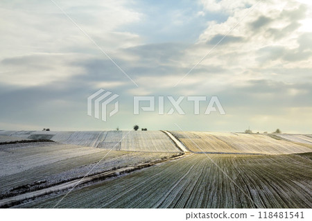 Sunrise over winter green field. Rural landscape. Sunrise over winter green field. Rural landscape. 118481541